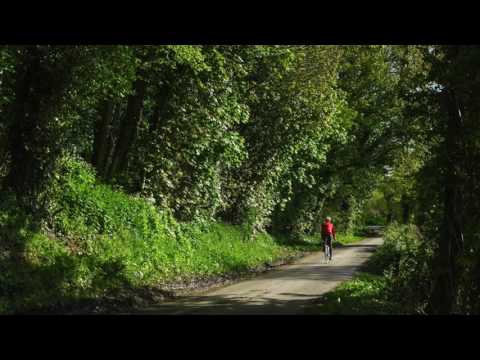kirsty hawkshaw - leafy lane (matrix remix )