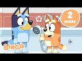 LIVE Bingo S Favourite Sunny Days With Friends ️ 2 HOURS Of Fun Bingo Official Channel