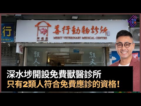 深水埗開設免費獸醫診所　只有2類人先符合免費應診的資格！｜春夏秋冬｜葉傲冬