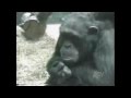 AFV Part 181 America S Funniest Home Videos Funny Videos Fail 2013 Montage Compilation
