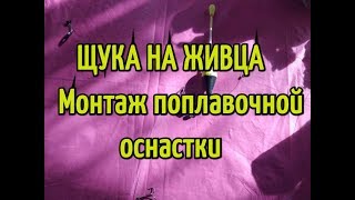 Лучшие монтаж для поплавочной удочки на щуку