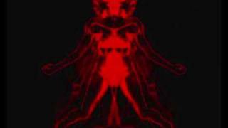 THE VISION AND THE VOICE