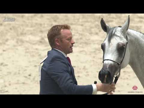 N 65 ANAWA   Paris 2019   Senior Females Class 3A