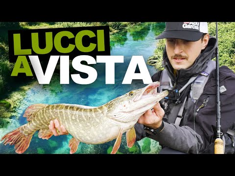 FISHING for  BIG PIKE in a SMALL STREAM, CLEAR WATER PIKE ATTCK!