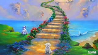 Dogs - Page France (live on WDET)