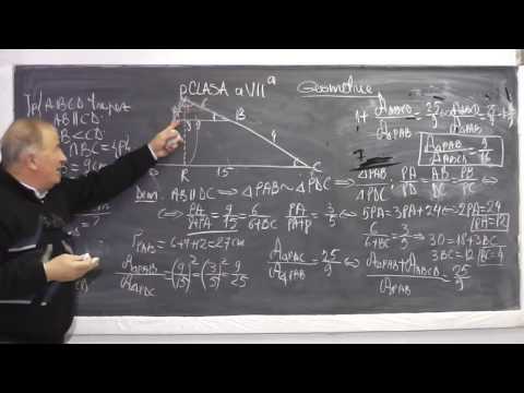 1/3 Lesson 835 - Thales' Theorem | Fundamentals of Similarity | Cases of Similarity - Grade 7 Hom...
