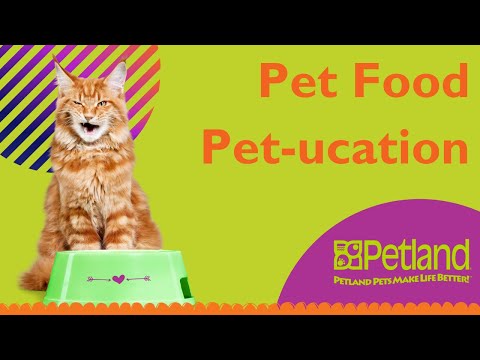 Dog & Cat Food Pet-ucation