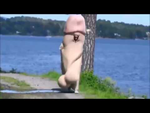 piГ№ enorme Dicksgiocando con il mio grande pene