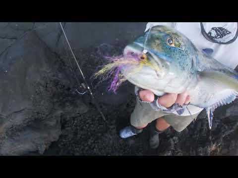 Plugging maui (double omilu) part 2