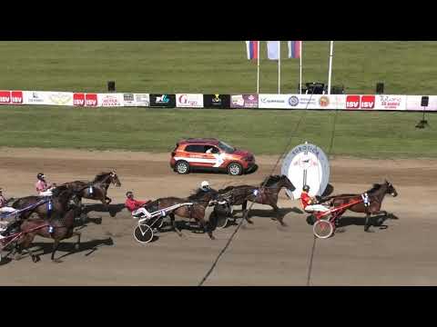 Trka "TV Subotica" 11.09.2021 Leon Thomas A.T. - Petar Knekt