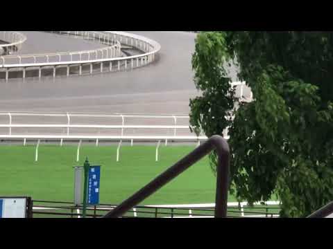 1/7/2022  新力高升  莫雷拉