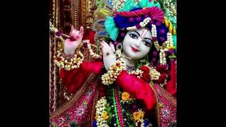 Download lagu Kan Gopi kirtan mandali music Gujarati । #shorts#status#radhekrishna#dwarkadhish#barsanewale mp3