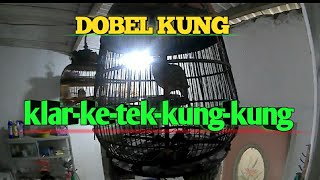 Download lagu SUARA PERKUTUT SENI IRAMA KUNG‼️klar-ke-tek-kung-kung mp3 Download lagu SUARA PERKUTUT SENI IRAMA KUNG‼️klar-ke-tek-kung-kung mp3