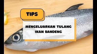 Download lagu Tips for Easily Removing Milkfish Bones mp3