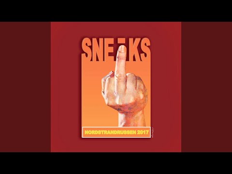 Sneiks 2017