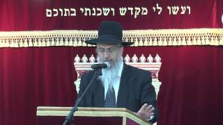 הלכות נטילת ידיים לדבר שטיבולו במשקה | הרב יורם סרי