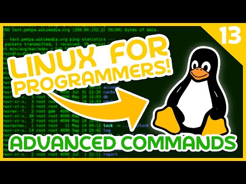 Linux for Programmers 13 Advanced Commands