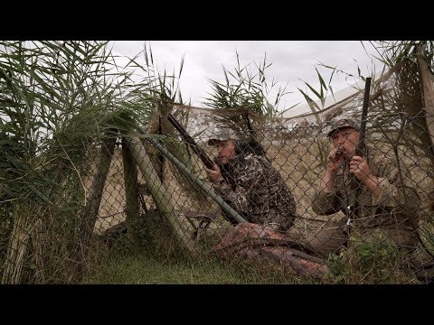 NL Jaagt Aflevering 22 De inzet van lokmiddelen brengt het wild binnen bereik