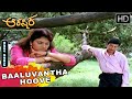 Baluvantha Hoove Baduvase Eke HD Video Song Aakasmika Kannada Movie Songs Dr Rajkumar Madhavi