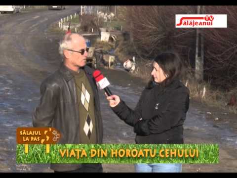 SALAJUL LA PAS   VIATA DIN HOROATU CEHULUI