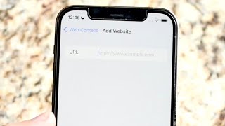 How To Block Websites On ANY iPhone! (2022)