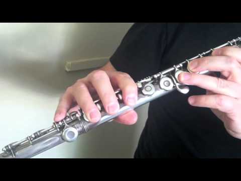 Beginning flute lesson #2 with Warren Ham
