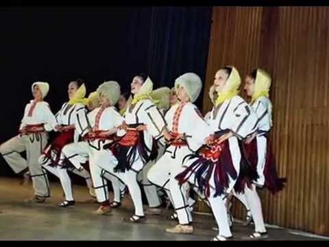 DIMITRIJE OBRADOVIC - SKOK KOLO