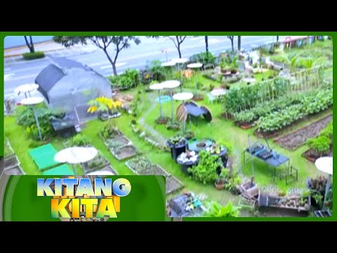 Kitang Kita: Urban Farmers PH Gud Morning Kapatid