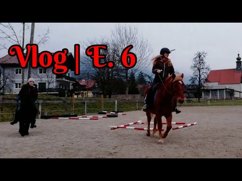 AnKa's Pferde Vlog | 6. Folge Spaß am Reitplatz - Reitstunde, Stangenübungen, longieren...