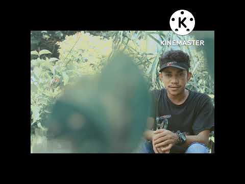 Noi dulas ibun tafui kaben covert Ado