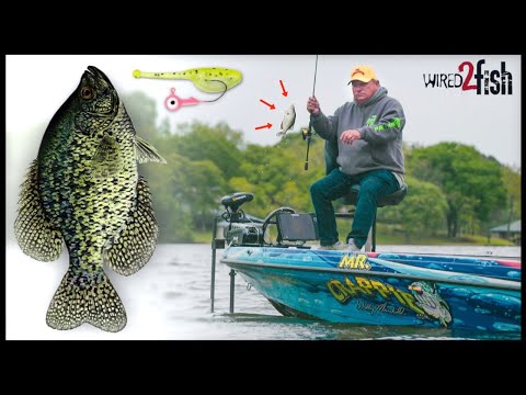 Jig Fishing Spring Crappies on Grass Lines with Mr.