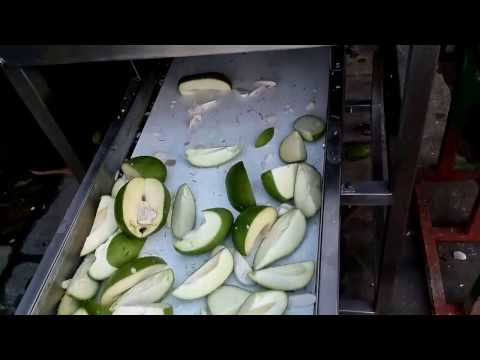 Automatic Mango Cutting Machine