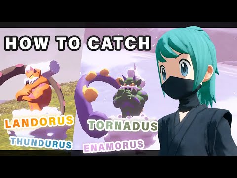 Dove trovare Tornadus, Thundurus, Landorus e Enamorus ► Pokemon Legends Arceus