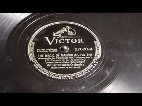 The Magic Of Magnolias