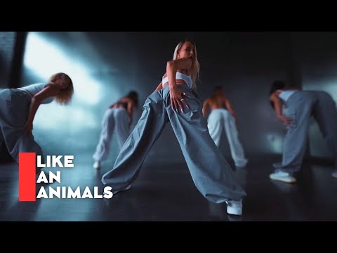 Madkay - Like An Animals (Madkay Remix) | Dance Choreography |