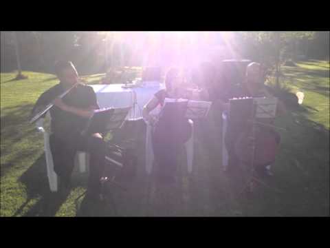 Video 4 de Musica Bodas Alicante Video 4 de Musica Bodas Alicante