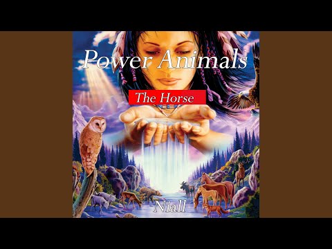 Power Animals - The Horse