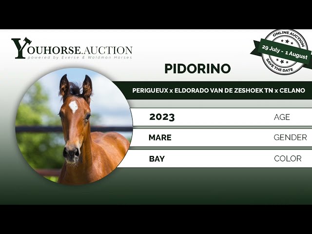 Pidorino