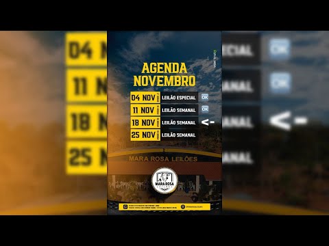 MARA ROSA LEILÕES - GOIÁS - LEILÃO DE GADO DE CORTE 18/11/2025