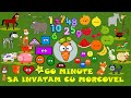 60 Minute Sa Invatam Cu Morcovel Alfabetul Numerele Culorile Animalele Zilele