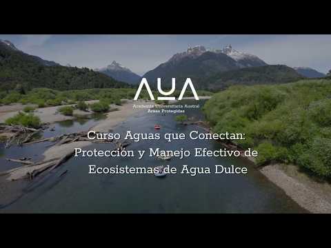 Curso Aguas que Conectan. Jornada de terreno, provincia de Palena, Región de Los Lagos. Enero 2026.