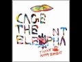 Cage The Elephant - Sabertooth Tiger (Thank You, Happy Birthday)