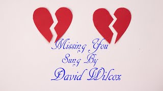David Wilcox Missing You