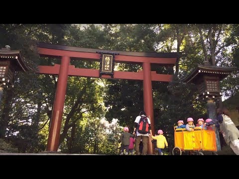 Visiting a Shinto shrine in Japan