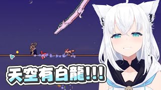 【Terraria】總之不能相信佩克拉說的話｜【 hololive / 白上吹雪】