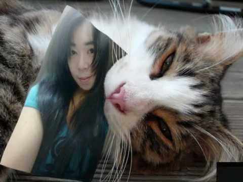 mawar bodas yayan jatnika by dini.