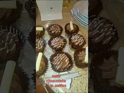 mini chocolate cup cakes