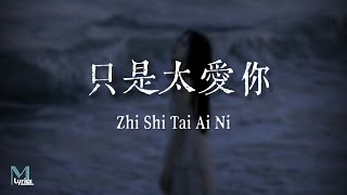 Download lagu Ding Fu Ni (丁芙妮 ) – Zhi Shi Tai Ai Ni (只是太愛你) Lyrics 歌词 Pinyin/English Translation (動態歌詞) mp3