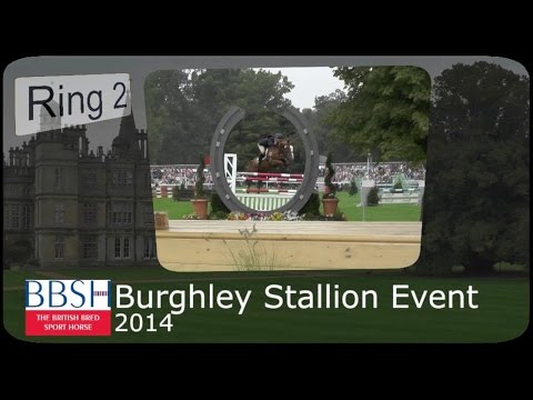 BBSH Stallion Parade at Land Rover Burghley Horse Trials 2014