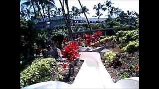 preview picture of video 'Hilton Waikoloa Village Slide'